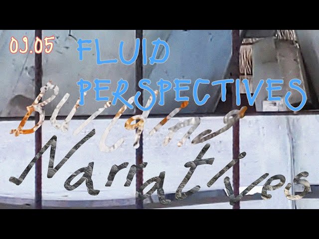 Fluid Perspectives