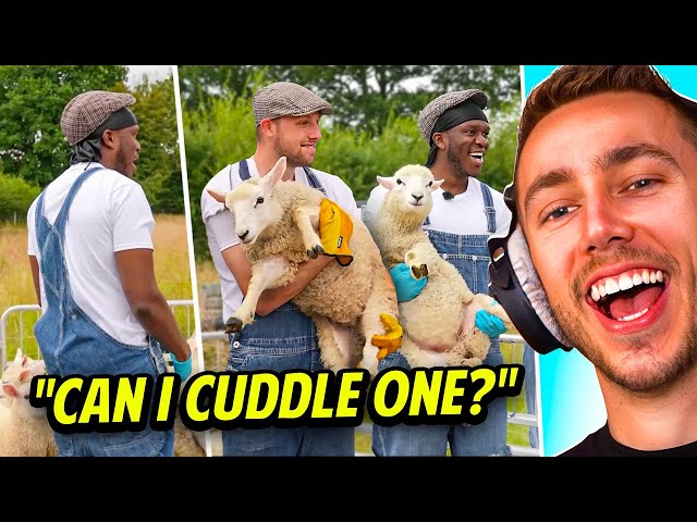 THE MOST WHOLESOME SIDEMEN MOMENTS!