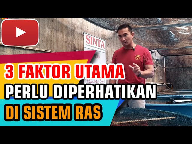 POIN PENTING DI DALAM SISTEM RAS - Budidaya Ikan Nila