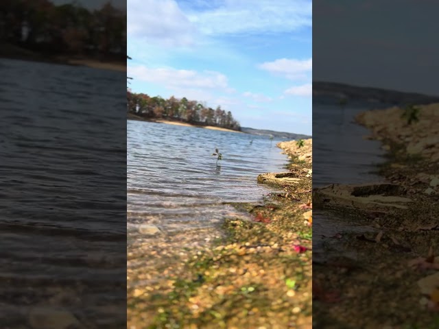 Tranquil ASMR Water