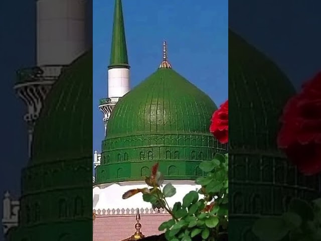 Wo Mera Nabi Mera Nabi Hai Naat Status, Whatsapp status  #islamic_naat...