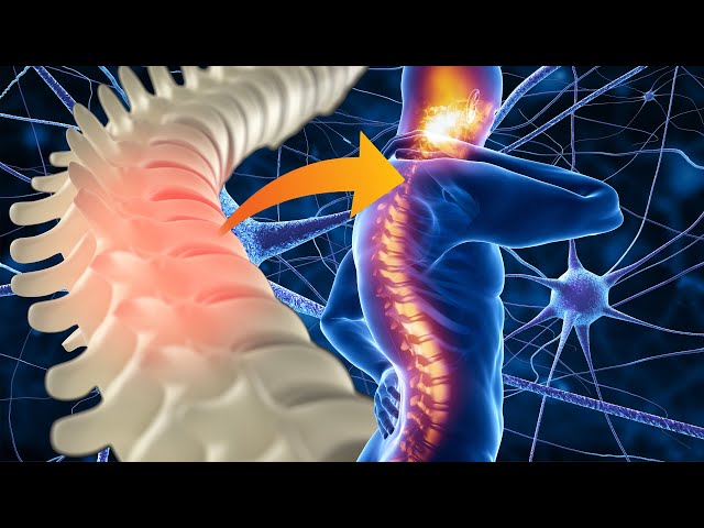 Deep Sleep Healing: Full Body Repair & Regeneration at 528Hz, Spine Massage, Positive Energy Flow