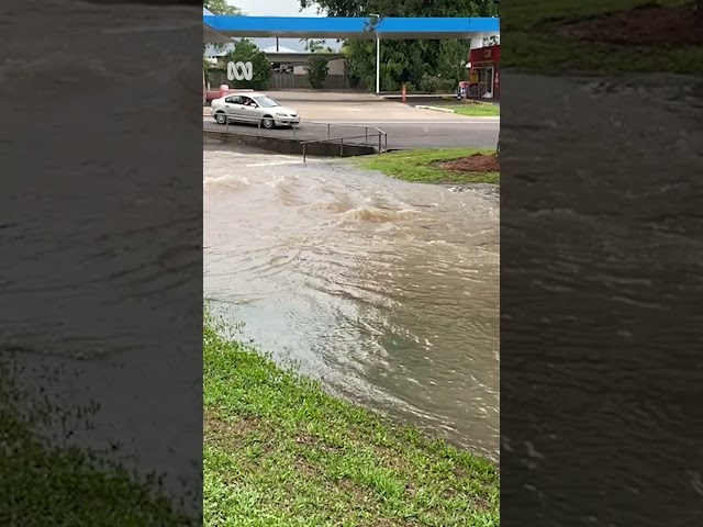 A crocodile has been caught in flood waters in a north Queensland town | ABC News