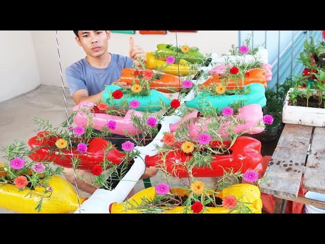 Recycling Aerial Garden Plastic Bottles, Gorgeous Aerial Portulaca (Moss Rose) Gardens