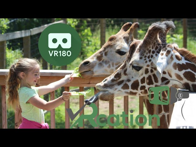 Go to the Zoo! VR180 3D VR