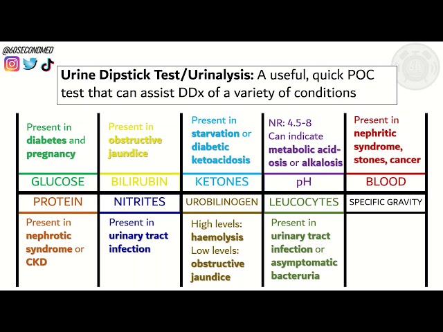 67 SECONDS on URINALYSIS/URINE DIPSTICK TESTING