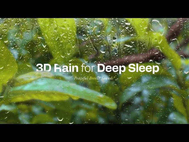 Hypnotic 3D Rain: The Most Relaxing Sound for Deep Sleep #rain #rainsounds #sleep #asmrsounds