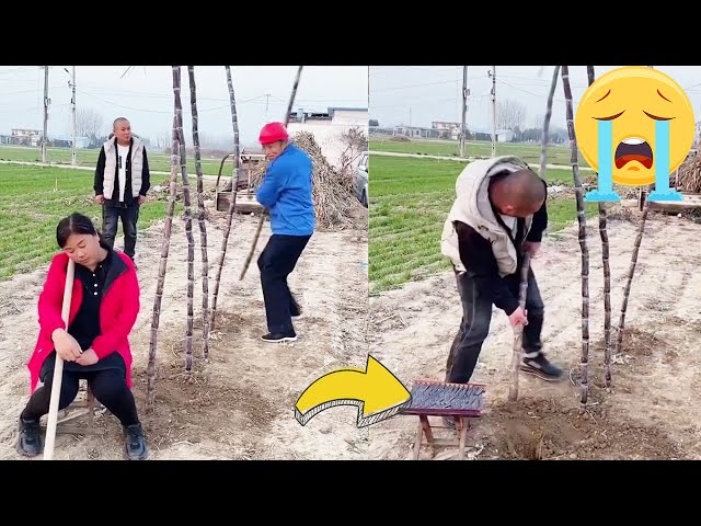 The idiot wife’s sugar cane was stolen and she didn’t notice it#FunnyVideos#funnyvideo#funny