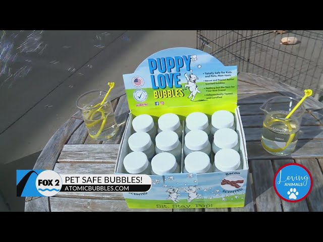 Give your four-legged valentine pet-safe bubbles from ‘The Bubble Man’