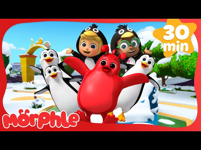 A Frosty Penguin Invasion! 🐧 | BRAND NEW | Morphle's Merry Christmas! | Cartoons for Kids