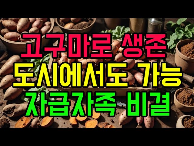 [미래준비] 생존식으로 고구마 키우기, 도시농부 생존을 위한 자급자족 식량생산 구황작물 고구마를 주목하라