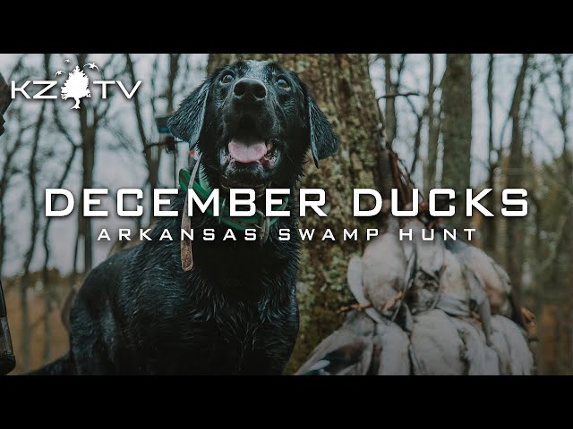 Arkansas Duck Hunting - Ducks In Our Face!! K Zone TV: December Ducks