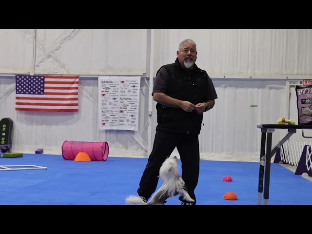 Connecting with dogs, with Eric Salas