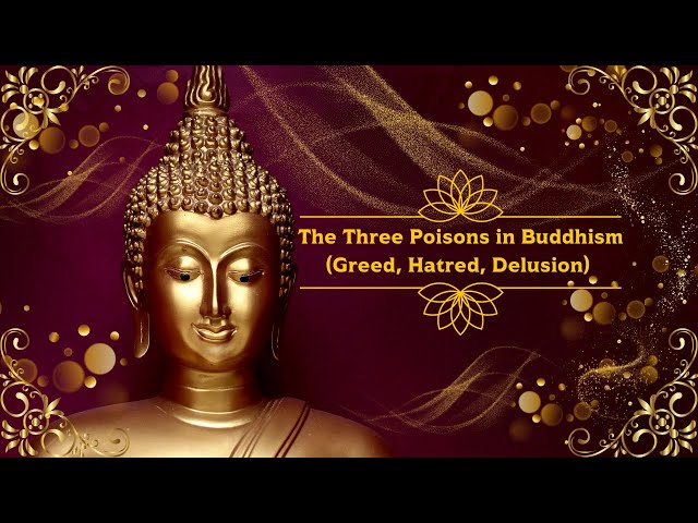 The Three Poisons in Buddhism Explained: Greed, Anger, and Ignorance