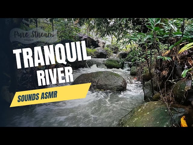 Tranquil River Sounds ASMR | Flowing Water & Nature Ambience for Deep Relaxation & Sleep