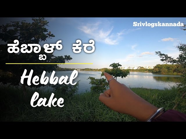 ಹೆಬ್ಬಾಳ್ ಕೆರೆ ಹೆಂಗಿದೆ ಗೊತ್ತಾ...! || Hebbal lake, mysore