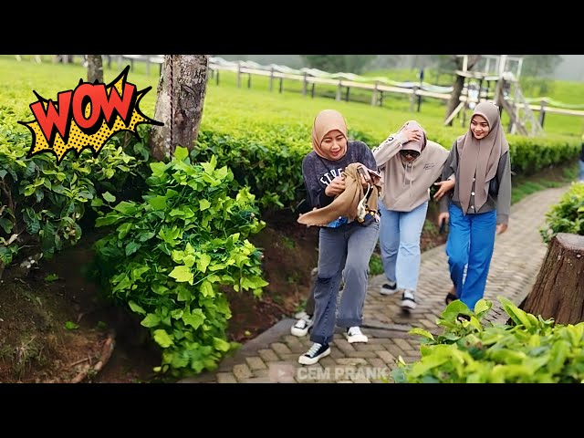 Histeris yang Tiada Duanya..!! Bushman Prank