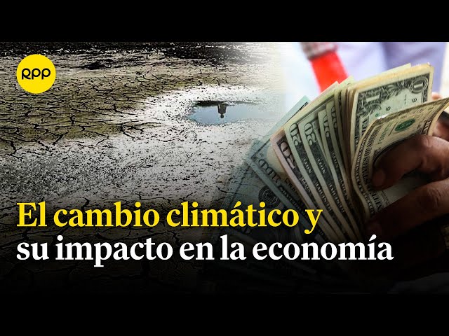 Día Mundial del Clima: ¿Cuál es el impacto económico del cambio climático?