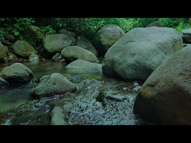 Nature's Song: River Sounds for Stress and Anxiety