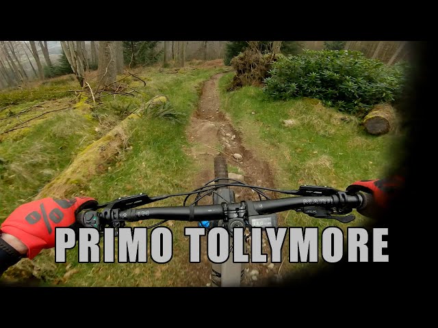 Primo conditions at TOLLYMORE MTB natural trails