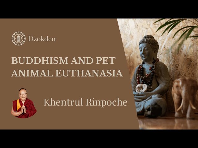 Buddhism and Pet Animal Euthanasia | Khentrul Rinpoche