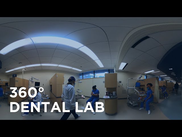 360° Dental Hygiene Lab