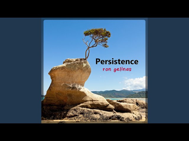 Persistence