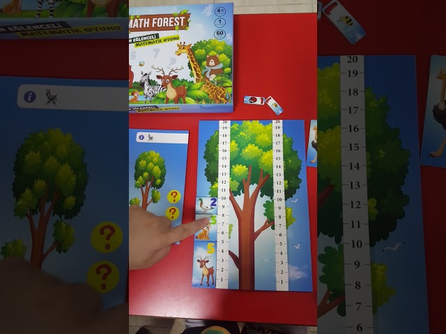 Math Forest  Akıl Oyunu - Matematik Ormanı Oynuyoruz