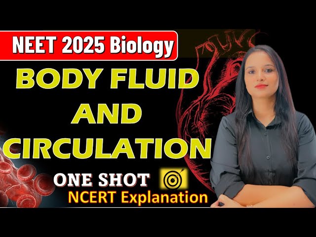 One Shot -  Body Fluids and Circulation | Class 11 NCERT | NCERT Explanation #neet #neet2025