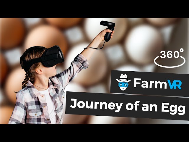 Journey of an Egg - FarmVR Virtual Reality Farming Experiences