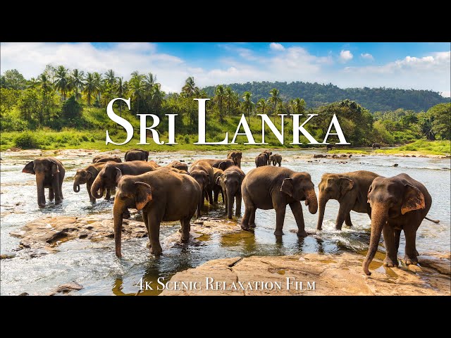 Sri Lanka 4K - Scenic Relaxation Film With Calming Music