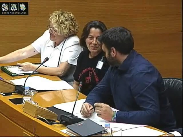 Comparecencia en Les Corts del Grupo de trabajo por la Renta Básica en la Comunidad valenciana.