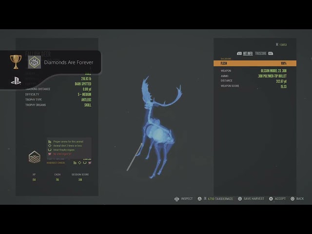 theHunter: Call of the Wild Botch