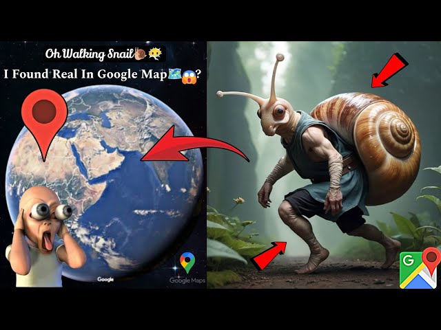 🐌😶‍🌫️I Found Strange Walking Snail In Google Map🗺️? #trending #viralvideo #map #datadefender4u