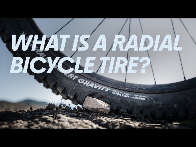 The Radial Technology - What's The Story behind The New Albert & Shredda?