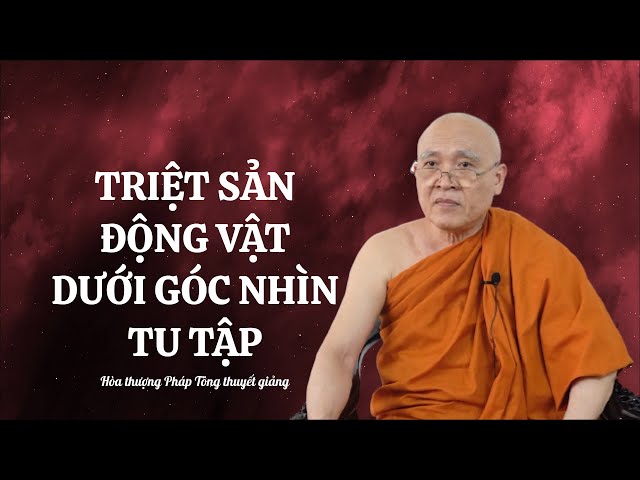 VẤN ĐÁP PHẬT PHÁP l THIẾN CHÓ, MÈO HOẶC TRIỆT SẢN ĐỘNG VẬT DƯỚI GÓC NHÌN TU TẬP