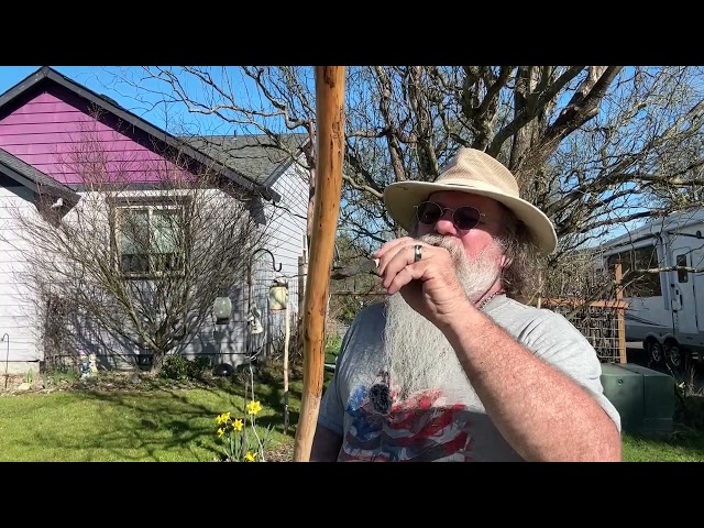 How to Varnish Walking sticks