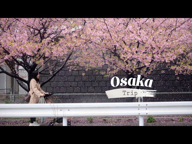 Osaka Travel Vlog | Vacation to Japan with Family and Children | Silent Healing Vlog | ASMR Travel