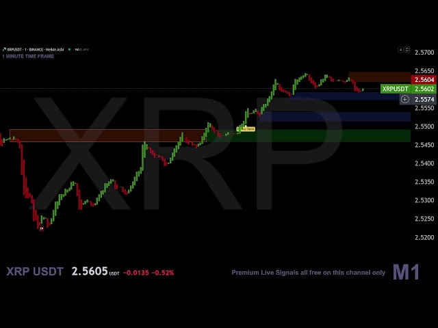 💥 XRP LIVE Trading Chart  M1 #XRP #rlusd