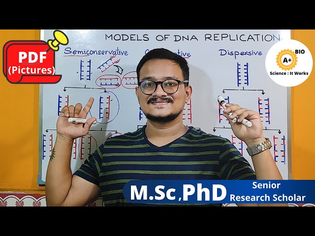 Three Models of DNA Replication | Class 12 Biology in Bengali