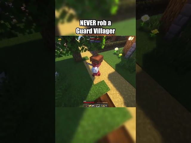 NEVER rob a Guard Villager in Minecraft