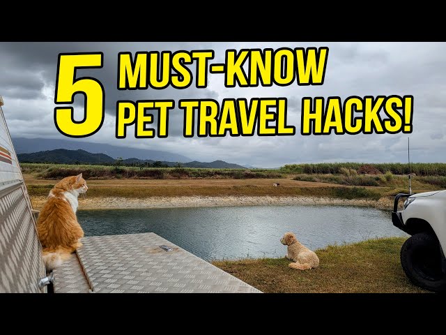 Travels With Pets: What We Wish We Knew Sooner! | Caravanning Lap of Australia with Dog & Cat