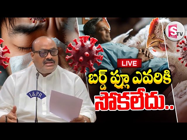 🔴Bird Flu Latest News Update : Minister Kinjarapu Atchannaidu Press Meet | Bird flu Cases ||