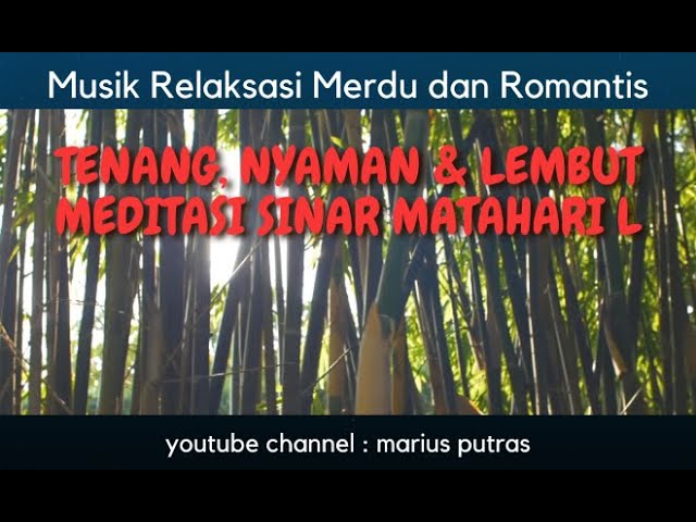 Musik Relaksasi  Yang Tenang, Meditasi Sinar Matahari L , Romantis, Lembut dan Santai