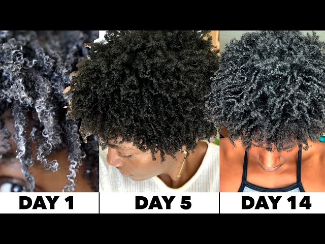 I tried a 4C Wash n' Go for 14 DAYS | SUPER Detailed with Pictures