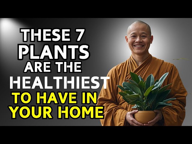 These 7 Plants Are The Healthiest To Have In Your Home| Buddhist Teachings