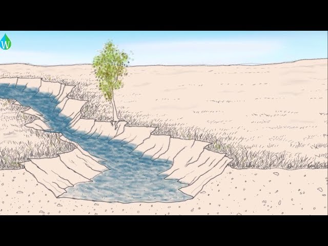 Ancient practices to increase water storage in desert aquifers 💧💦 | Waterpedia #WaterWednesday