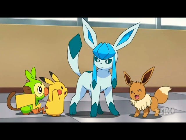 Eevee met all the Eeveelutions