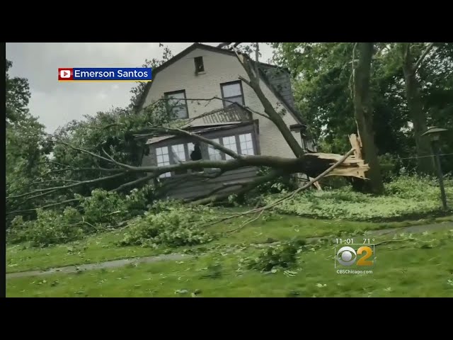 Itasca Still Cleaning Up From Powerful Weekend Storm