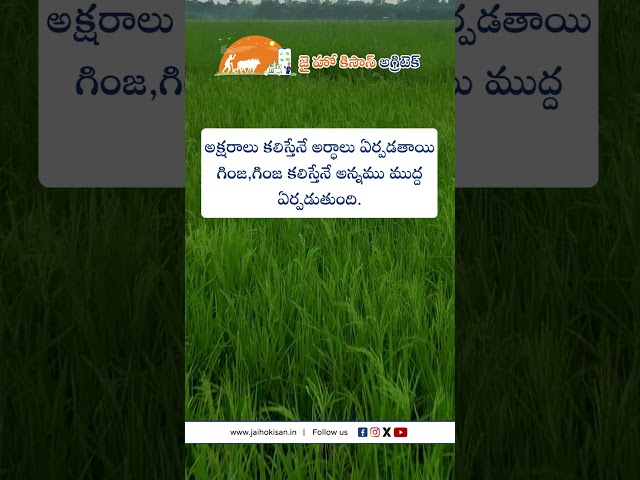 JHK Farmer Quote | Motivational quotes Telugu II Inspirational Quotes I Telugu Quotes|  @JaiHoKisan